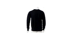 GIF 360