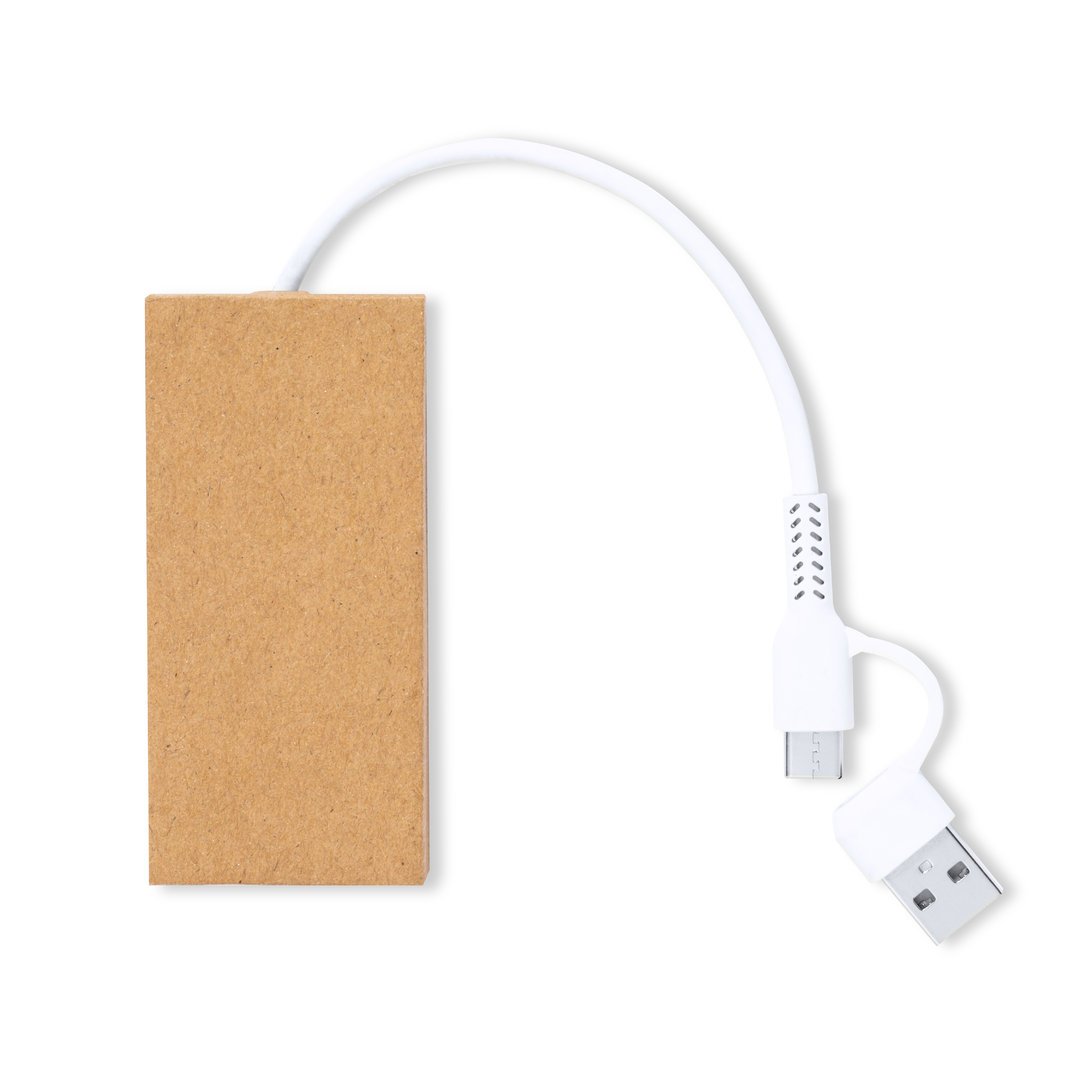 Puerto USB Hasgar - Imagen 2