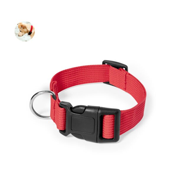 Collar Mastif