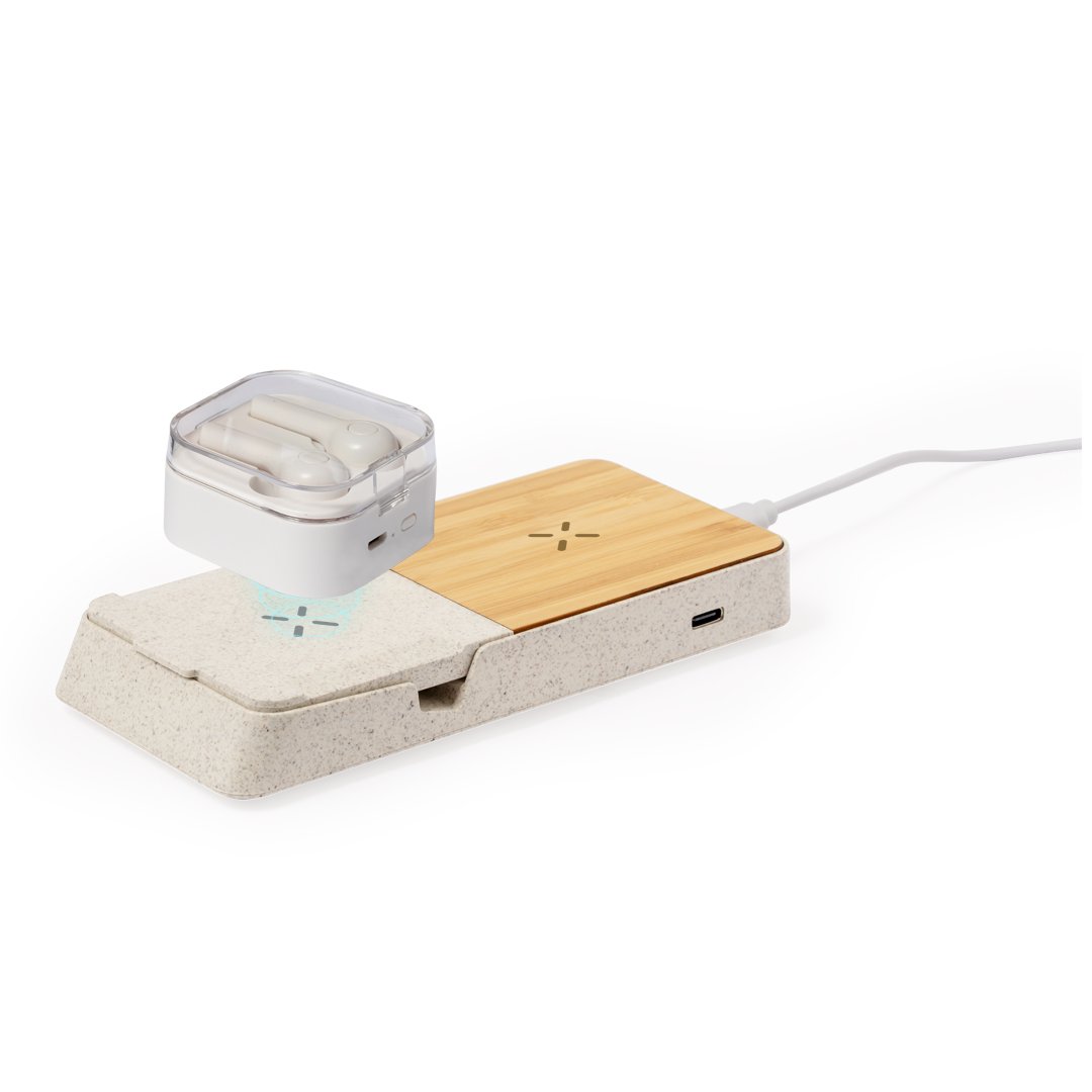 Cargador Barichen - Imagen 2