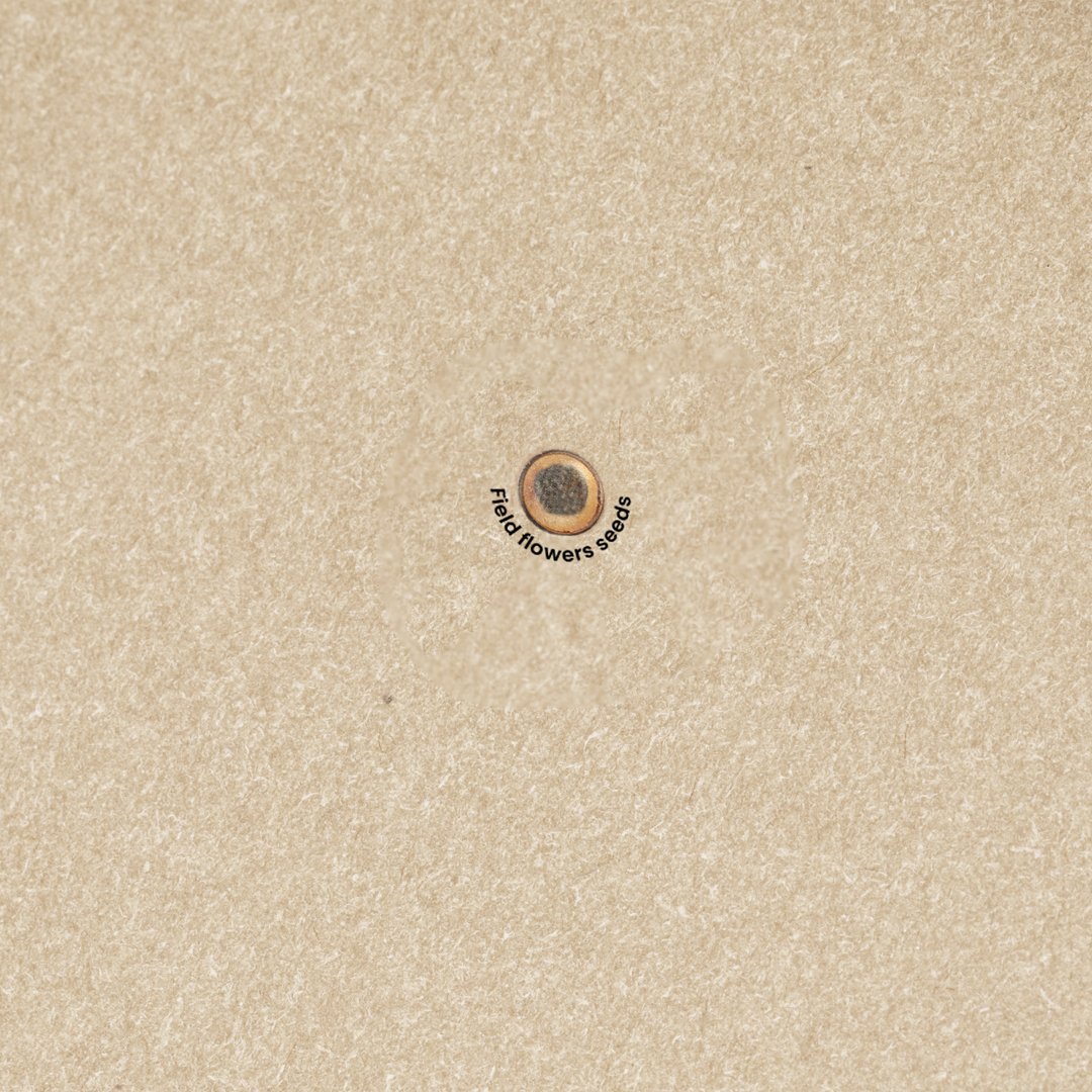 Bloc Notas Semillas Baupres - Imagen 5