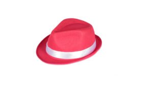 Sombrero Niño Tolvex - Imagen 2